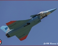 TSR Watermark - 0431